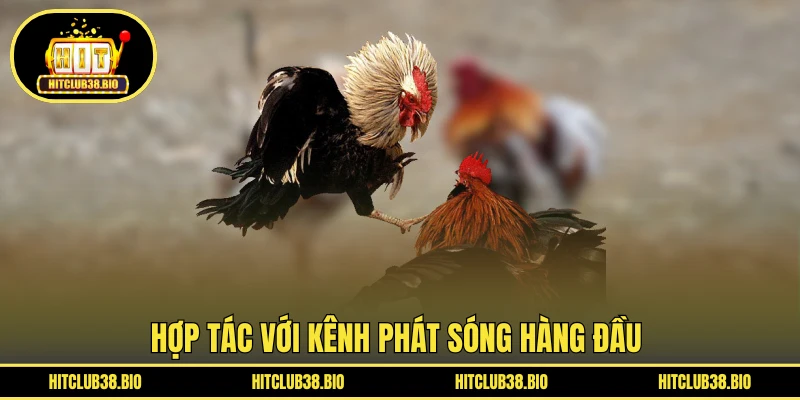 Hợp tác với kênh phát sóng hàng đầu 