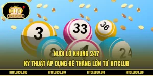 Nuôi Lô Khung 247 | Kỹ Thuật Áp Dụng Để Thắng Lớn Từ HITCLUB