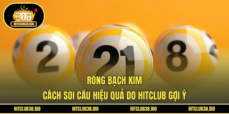 Rồng Bạch Kim | Cách Soi Cầu Hiệu Quả Do HITCLUB Gợi Ý